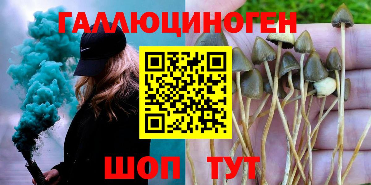 Псилоцибиновые грибы мухоморы  Псилоцибиновые грибы Cubensis  Берёзовский  Вход с VPN 