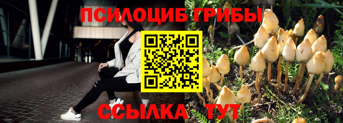 Псилоцибиновые грибы ЛСД Берёзовский